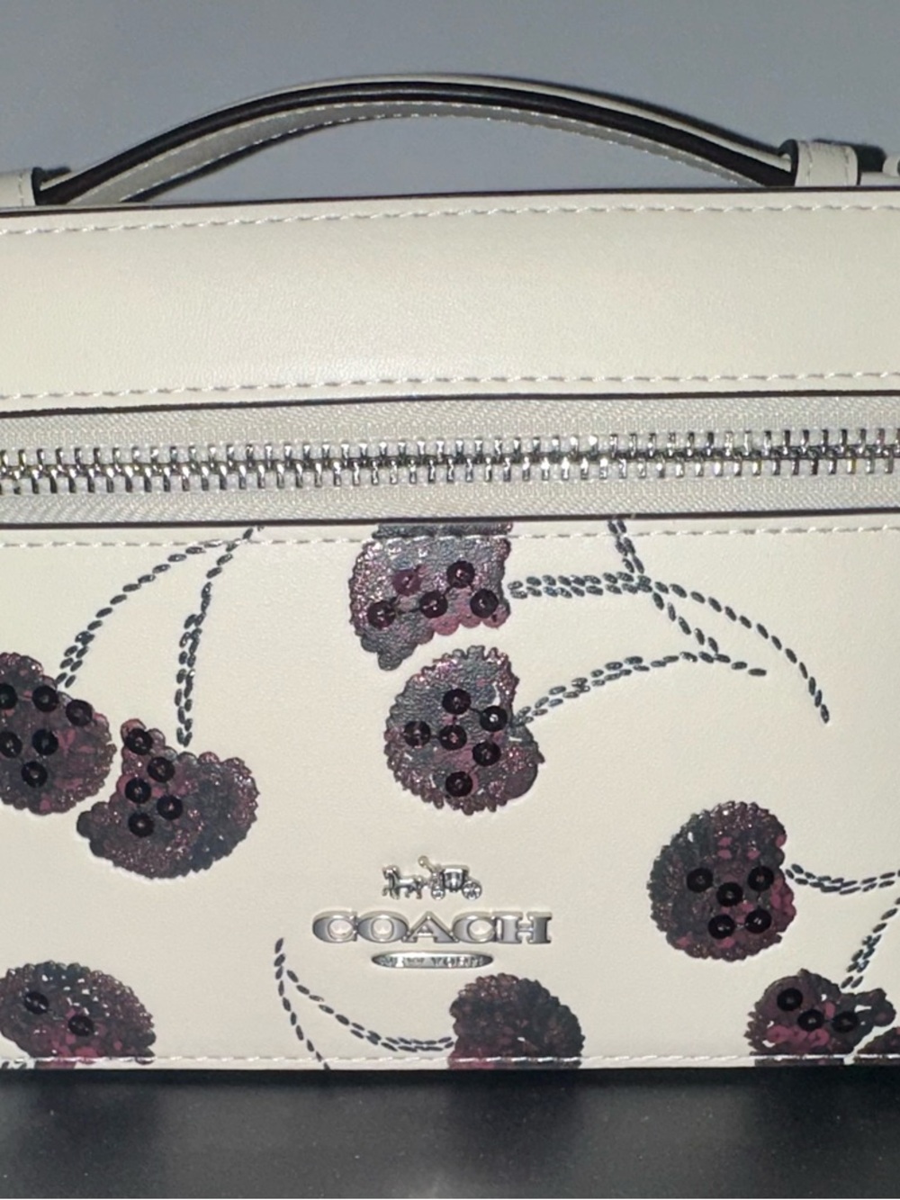 Coach Cosmetics Case with Cherry Print